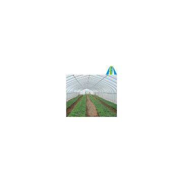 Plastic Film Greenhouse for Agriculture