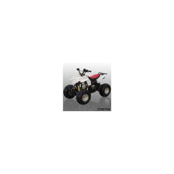 Mini Atv