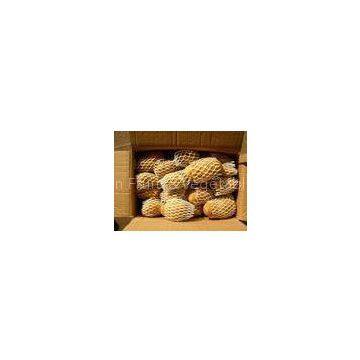 Yellow Sweet Holland Potato , Fresh Vegetable 20 kg / Mesh Bag