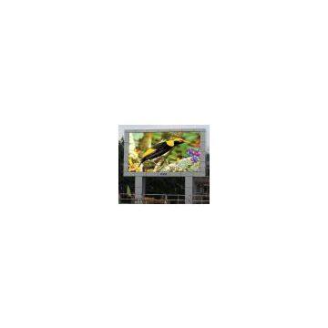 P22 LED Video Monitor Outdoor