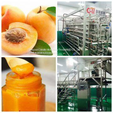 Линия обработки абрикосового пюре