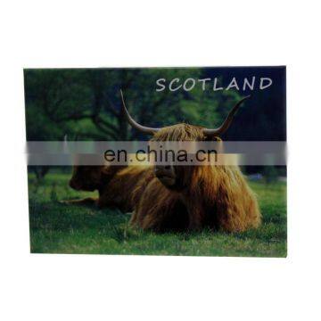 paper tin scotland yak souvenir refrigerator magnets