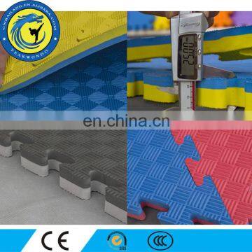 MMA Gymnastics Competition Judo Mat