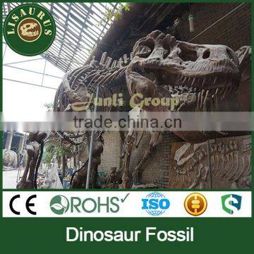 Lisaurus-I Dinosaur Fossil Sale Dinosaur Skull Head Life Size Dinosaur Skeleton Dinosaur Skeleton Puzzles photo-4