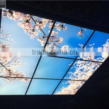 Japanese Style Sakura Sky Ceiling Panel Light photo-2