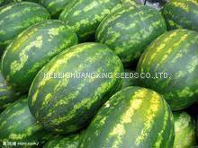 Middle Maturity Good Disease Resistance Hybrid f1 Watermelon Seeds for Planting photo-4