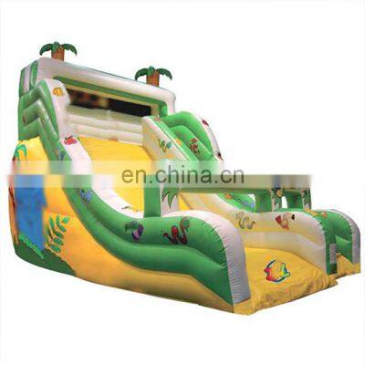 Jumping inflatable pool and water slide bounce castle