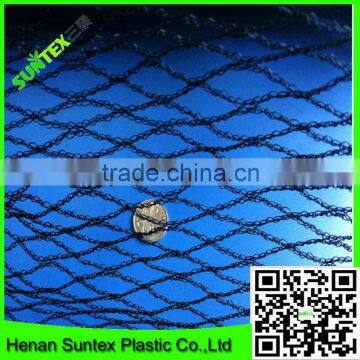 Small Mesh Hail Net, Plastic Prevent Bird Netting photo-4