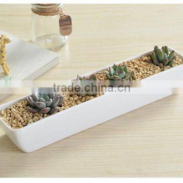 2016 Hot-sell Wholesale Price Artificial Tropical Mini Succulent Plant Pot Porcelain Flower Pot in Garden photo-5