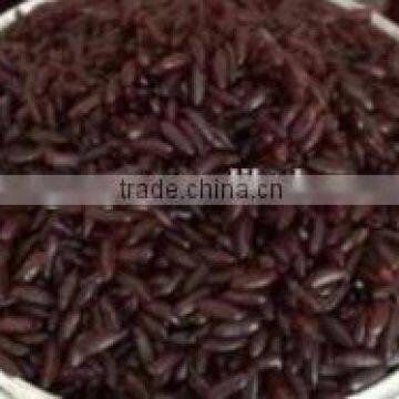 Hot Sale Instant /nutritional /artificial Rice Production Line/extruder Machine
