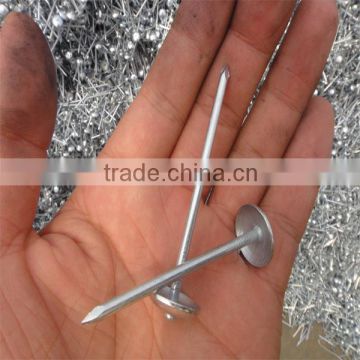 umbrella head roofing nails from manufacture in china