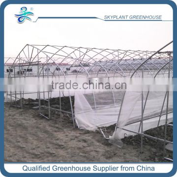 Tunnel Poly Greenhouse for vegetables