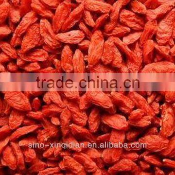 Certificated organic goji berry with NOP,ECO,OFDC,KOSHER