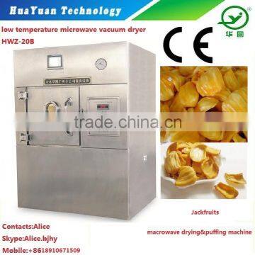 Microwave Vacuum Fruit Chips Dehydrator