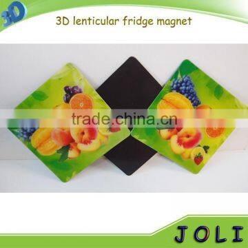 Top quality pet lenticular 3d magnet for fridge