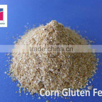 Maize Corn Gluten Feed for Animal from China