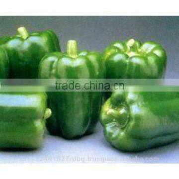 Fresh Bell Pepper India/good Quality Capsicum/farm Fresh Red,yellow,red Capsicum/bell Pepper Exporter in India photo-6