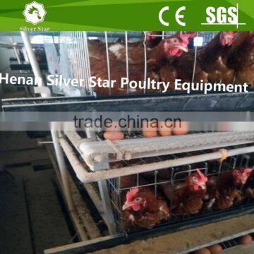 3 tier automatic design battery chicken egg laying cage