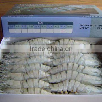 FROZEN BLACK TIGER SHRIMPS