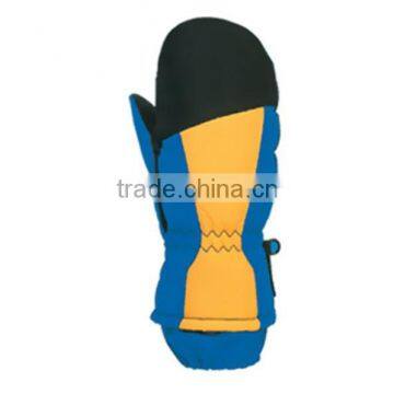 Ski Gloves