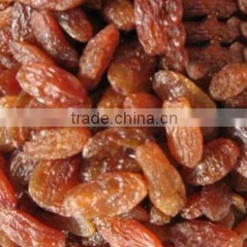 Chinese sultana raisin