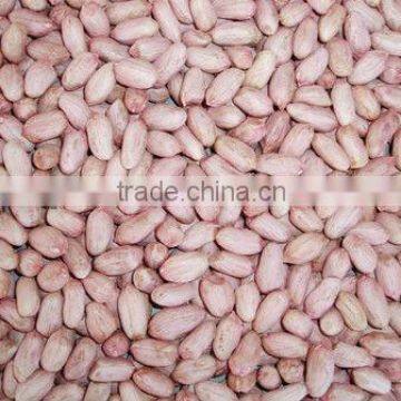 Raw Peanut Kernel for Sale photo-3