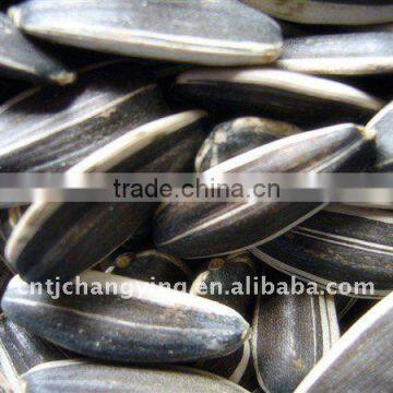 New Crop Sunflower Seeds 5009