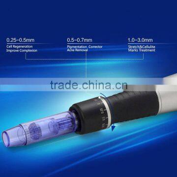 Top Selling 12 Months Warranty Electric Min Meso Microneedle Derma Skin Pen photo-3