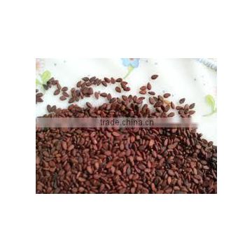 double skin brown sesame seed for sale