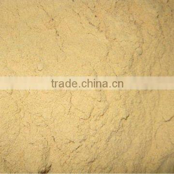 rice husk