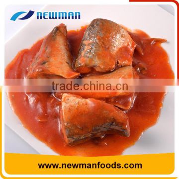 Wholesale various size canned fish china professional canned mackerel supplier