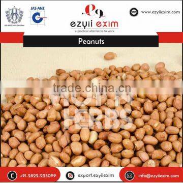 100% Natural Organic Big Size Peanuts at Discounted Rate