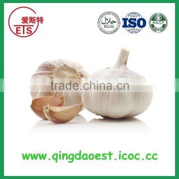 Chinese Natural Spice Garlic Supply to Singapore photo-2