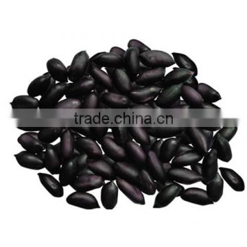 High Yield Excellent Quality Black Peanut Seeds For Growing