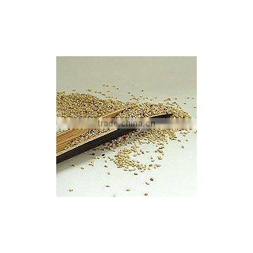 Sesame Seeds