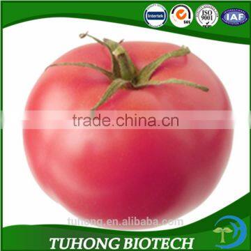 Green House Seeds Anti-TY Disease Tomato Seeds