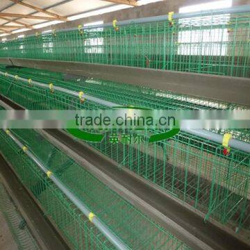 Quail Cage for Sale(factory) photo-5