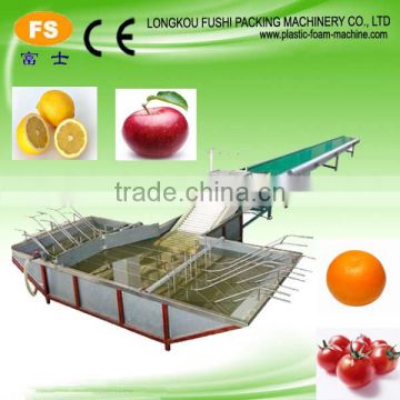 Fruit and Vegetable Washing Line