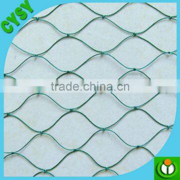 High Quality 100% Virgin HDPE Vineyard Anti Bird Net/bird Protection Netting photo-5