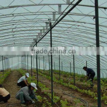 UV Protect Anti Fog Transparent Coextruded PE Cover Film PE Mulch Film for Grape Greenhouse photo-3