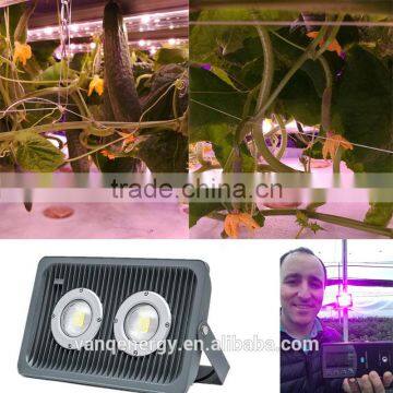 led grow spectrum full best flood light 100w waterprood 2017 wholesale factory