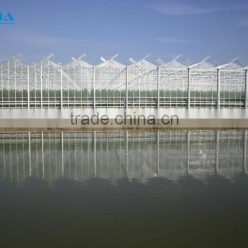 BaoLiDa zigzag large ventilation low cost polycarbonate greenhouse