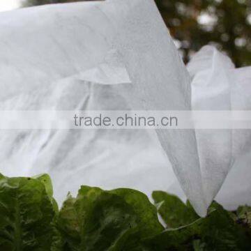 PP Mulch Fleece , Frost Protection Fleece (50g/m2) photo-4