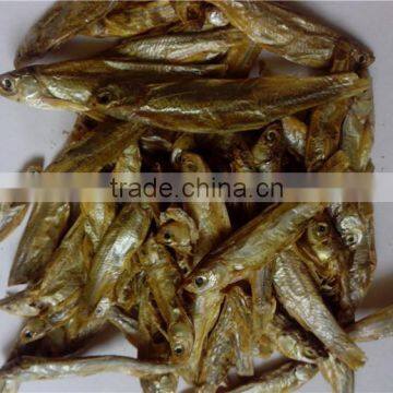 Microwave Dried Fish for Pet (turtle;lizard);Factory Price Dried Fish photo-6