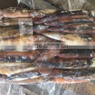 150-200g Illex Argentinus Squid Frozen Squid photo-6