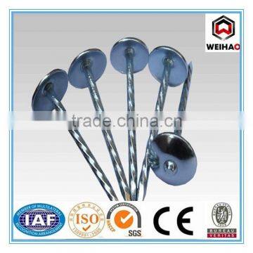 Umbrella Head Square Roofing Nail
