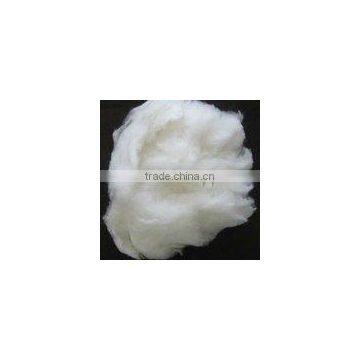 cashmere (pashmina) fiber