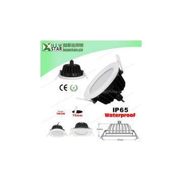 Waterproof IP65 LED Downlight