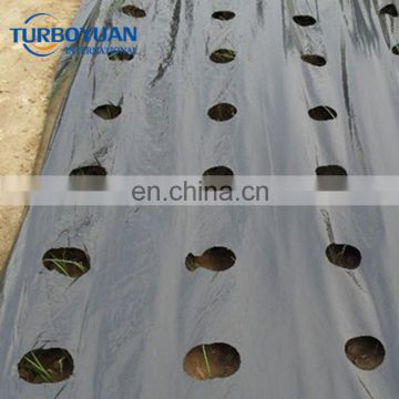 black polyethylene perforated plastic nonwoven mulch film for agriculture