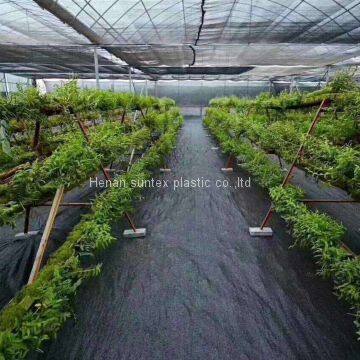 Weed Mat in Agricultural Plastic Products , Weed Control Cloth / Mat , Weed Barrier Mat